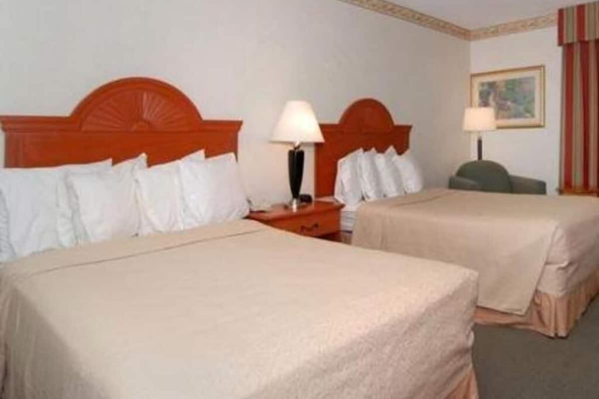 Premium bedding, desk, laptop workspace, blackout drapes