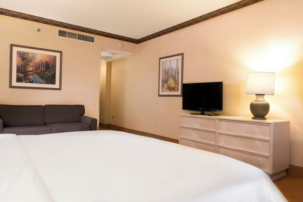 1 chambre, coffre-fort, bureau, fer et planche à repasser
