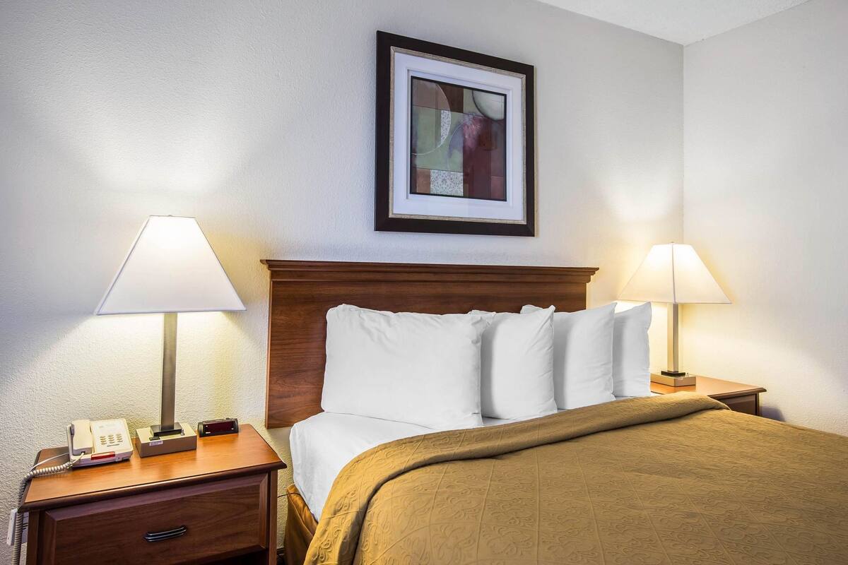 Iron/ironing board, WiFi (free), bed sheets