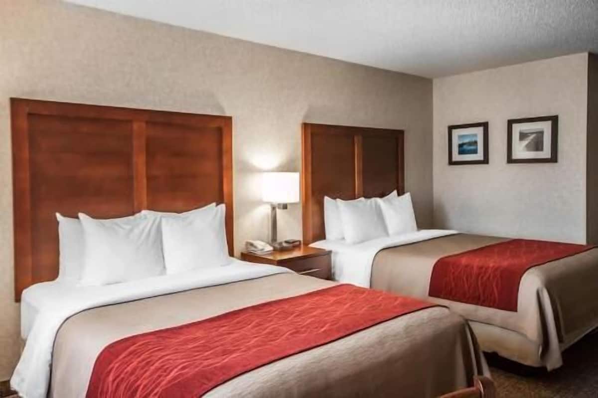 A hotel room with two beds, wooden headboards, a nightstand with a lamp, and two framed pictures on the wall.