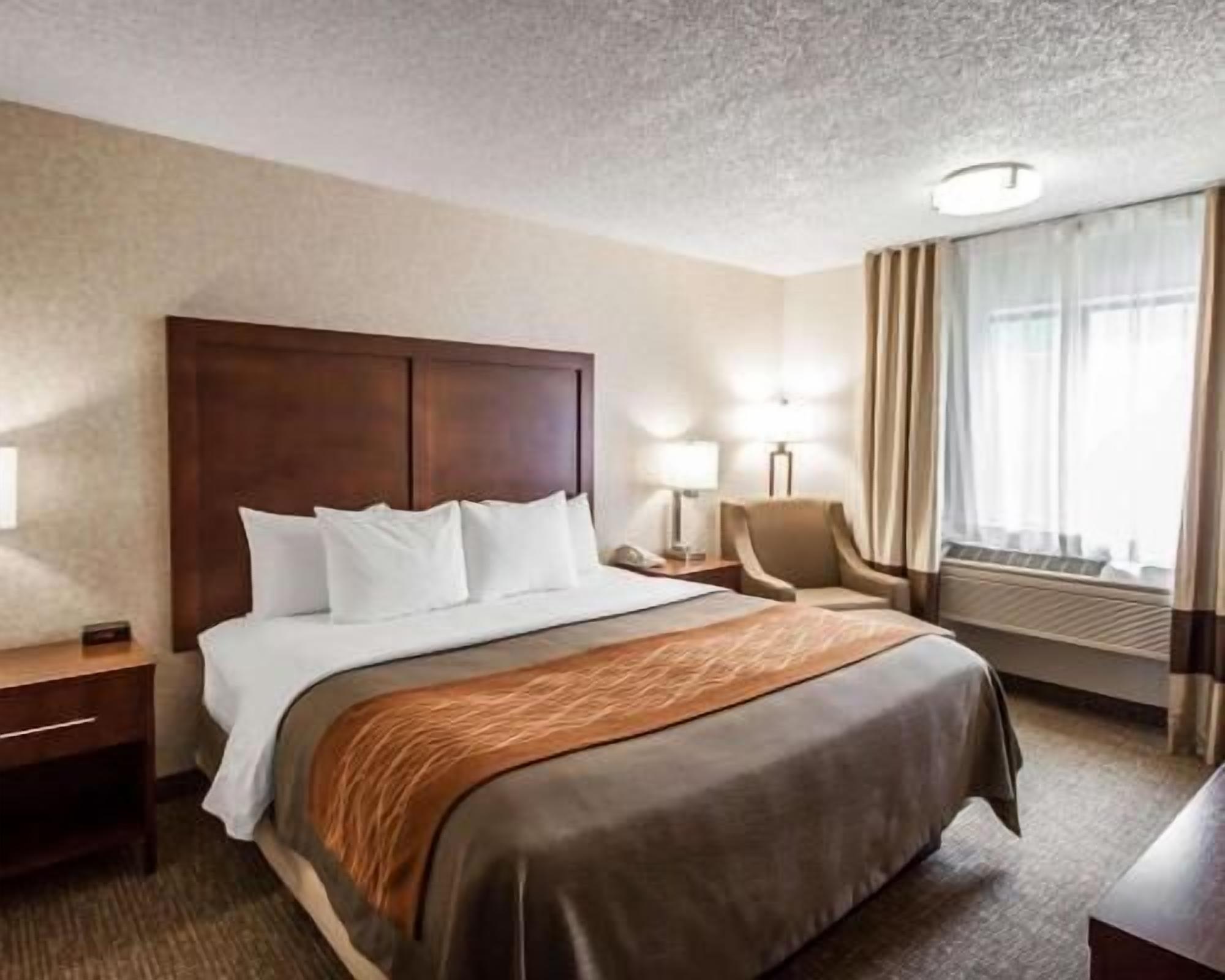 Premium bedding, in-room safe, desk, iron/ironing board