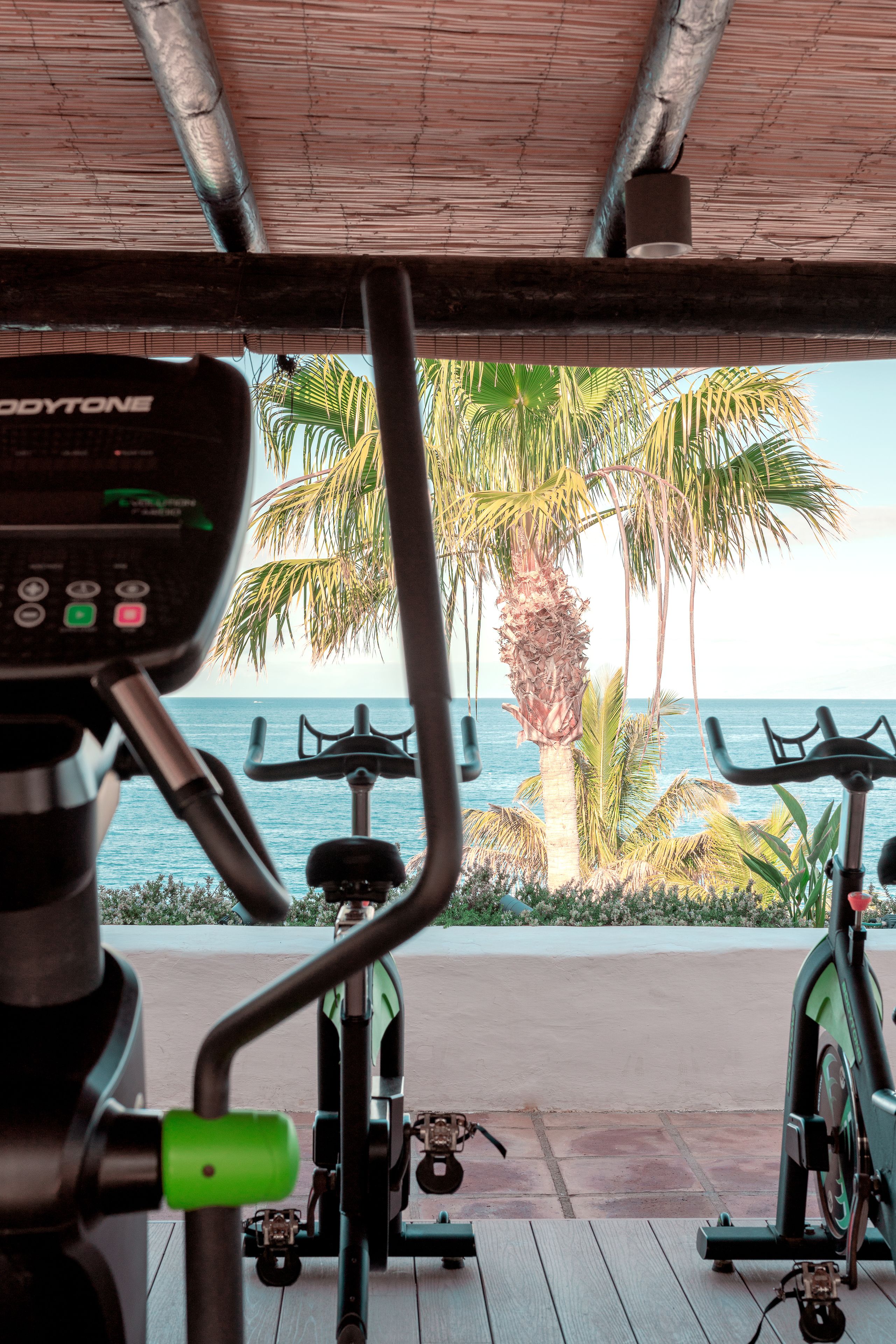 Area fitness all'aperto con cyclette, tetto di paglia e vista sull'oceano e palme.