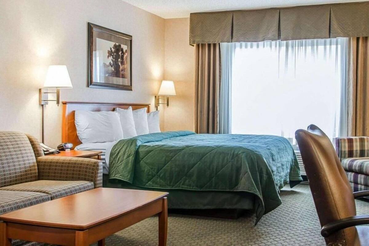 A hotel room with a bed, two bedside lamps, a framed picture on the wall, a sofa, and a chair.