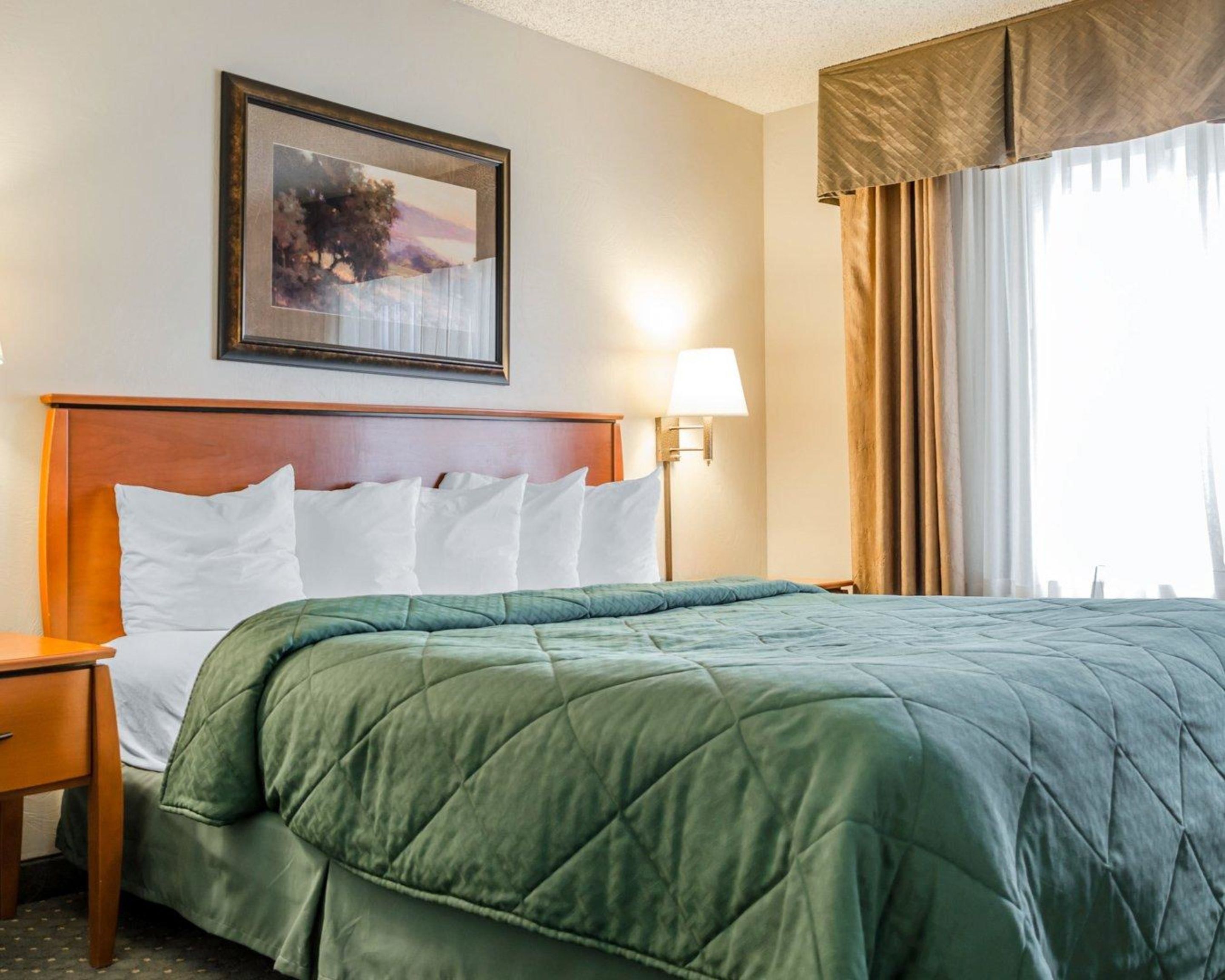 Une chambre d’hôtel avec un lit, une table de chevet, une lampe et une fenêtre avec des rideaux.