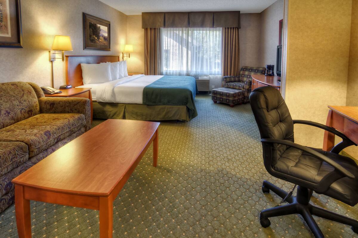 A hotel room with a bed, a sofa, a desk, a chair, and a lamp.