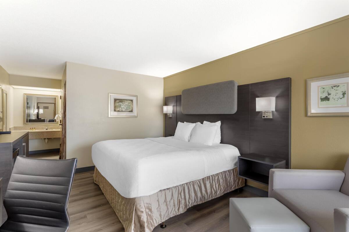 Une chambre d’hôtel avec un lit, un bureau, une chaise et un canapé.