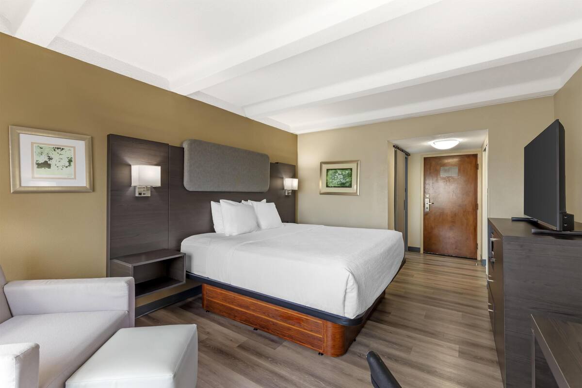 Une chambre d’hôtel avec un lit, un bureau, une chaise et un téléviseur.
