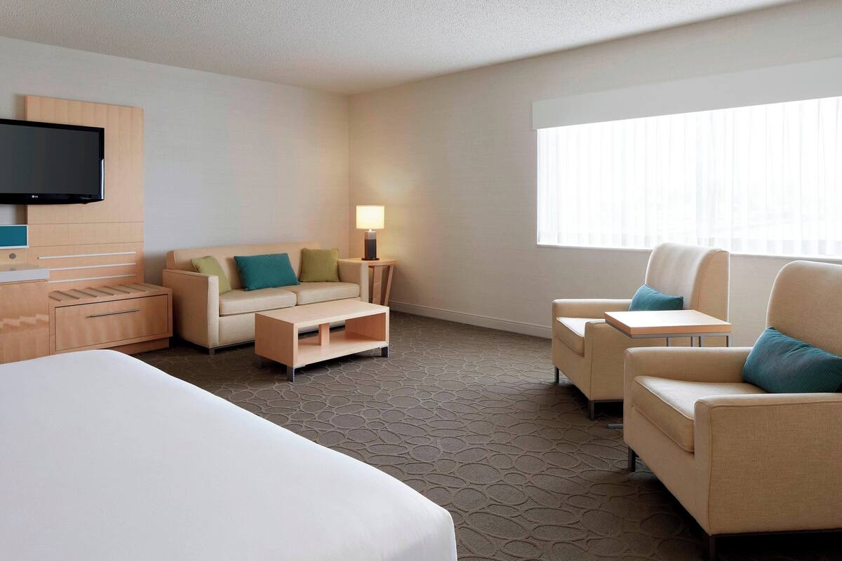 A hotel room with a bed, two sofas, a TV, and a window with blinds.