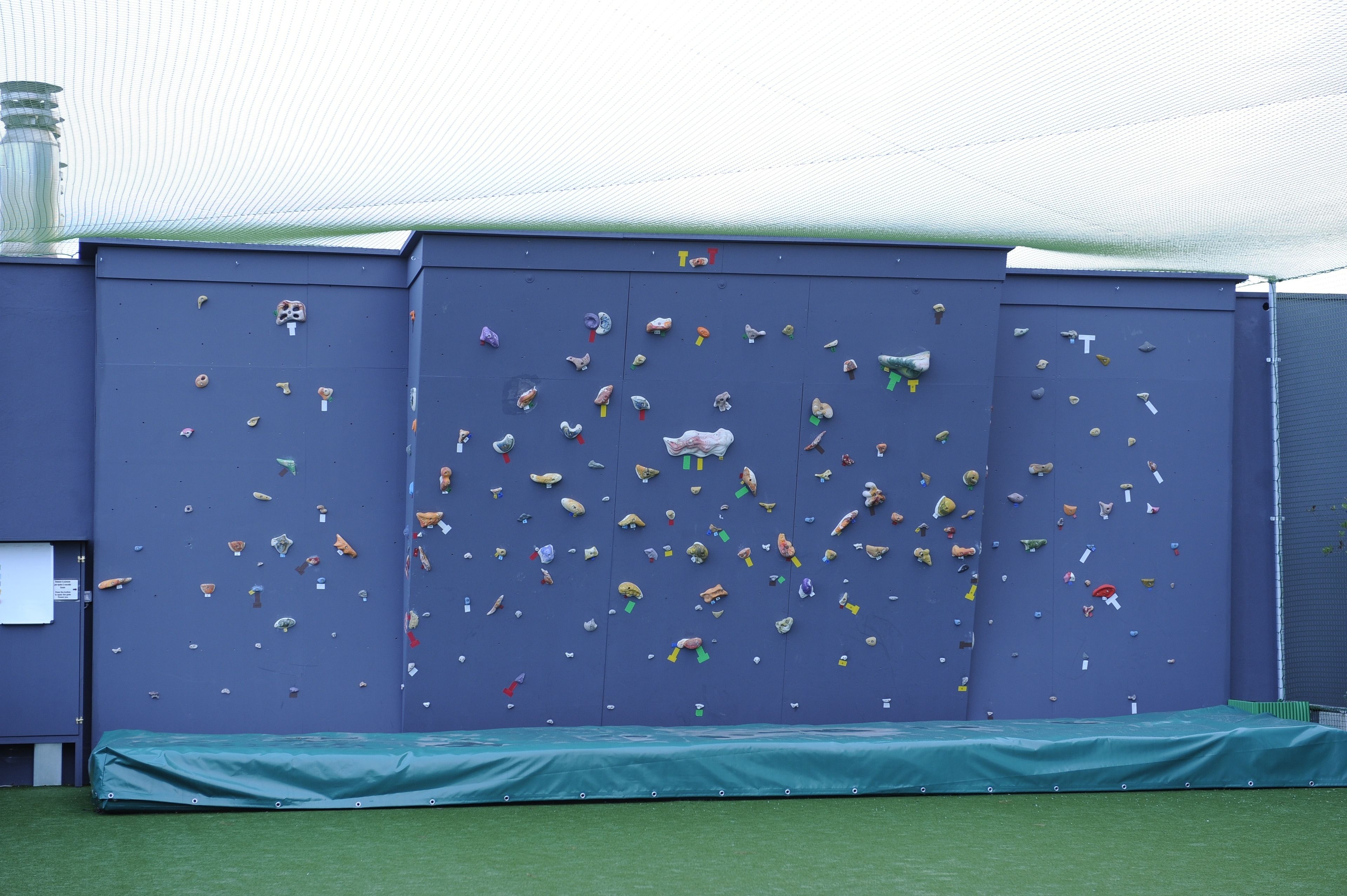 Una pared de escalada con múltiples agarres y un tapete verde en la base.