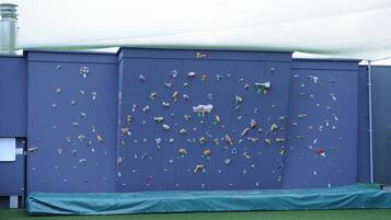 Una pared de escalada con múltiples agarres y un tapete verde en la base.