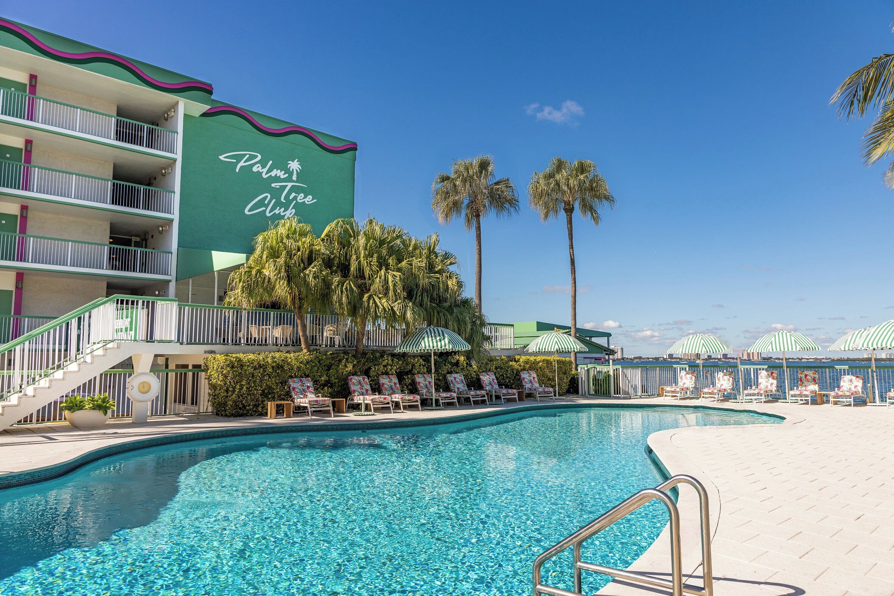 Un área de piscina con sillones de descanso y sombrillas, una palmera y un edificio con letrero que dice "Palm Tree Club".