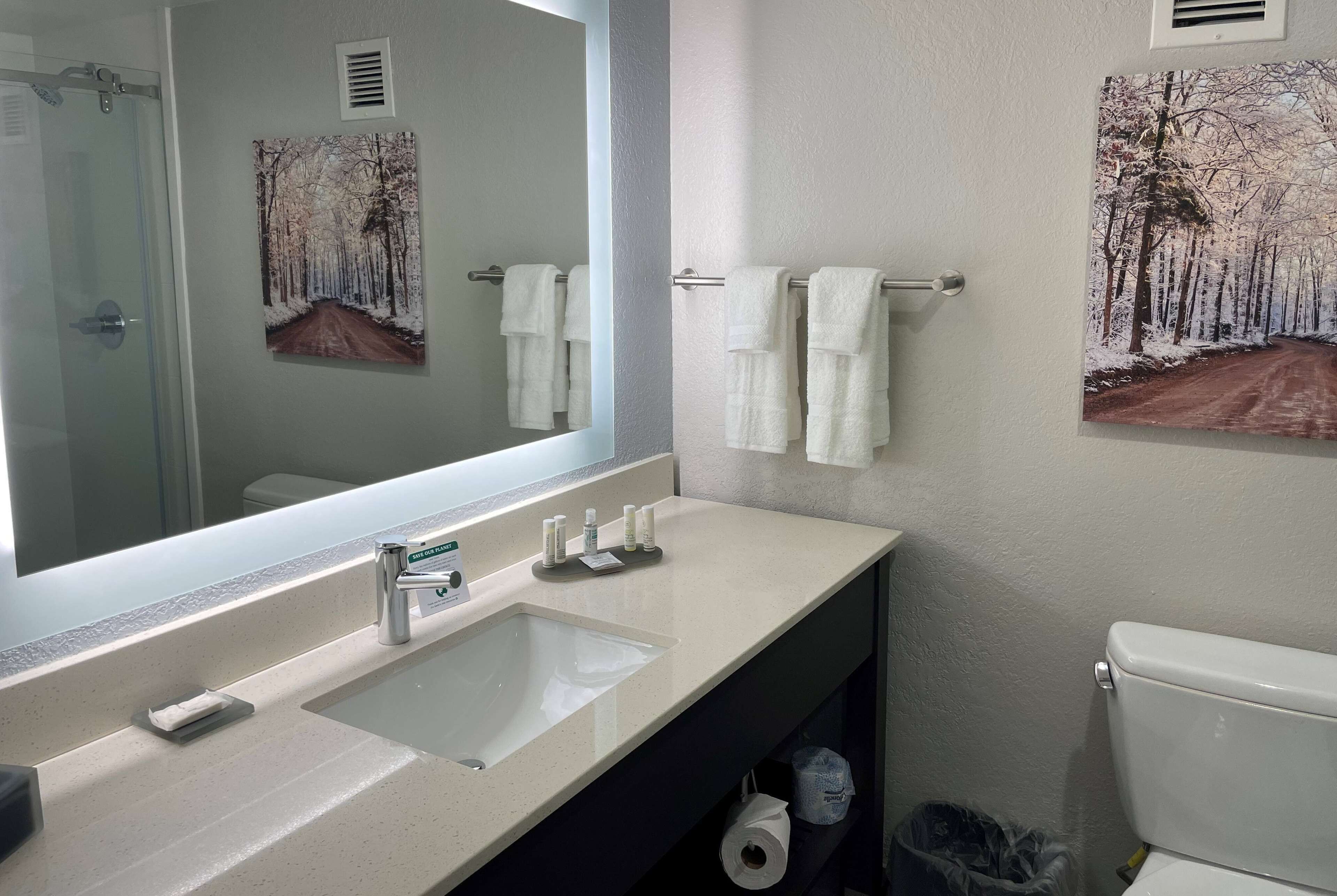 A bathroom with a large mirror, a sink, and two towel racks.