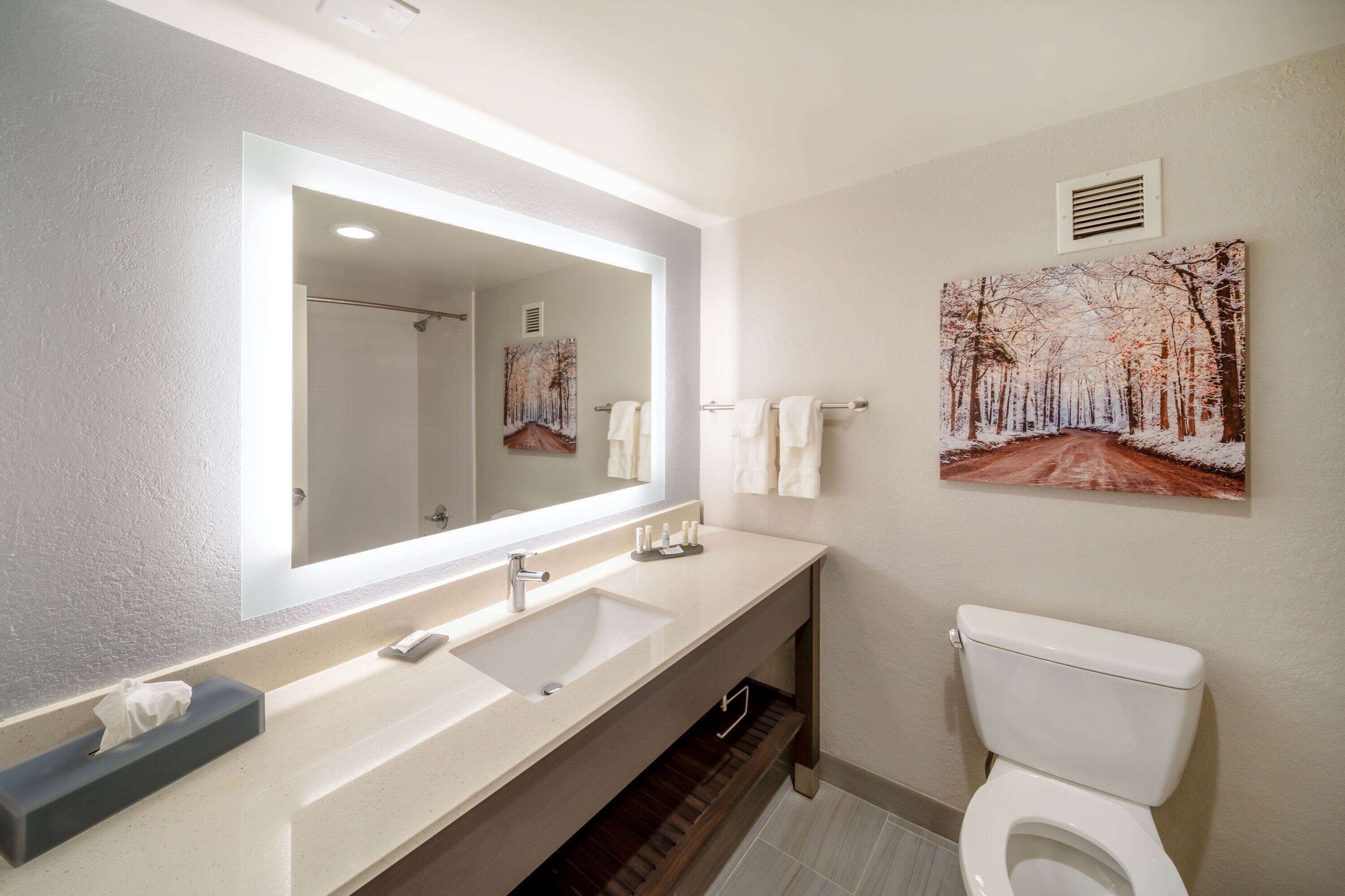 Combined shower/bathtub, free toiletries, hair dryer, towels