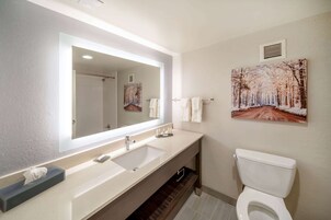 Combined shower/tub, free toiletries, hair dryer, towels