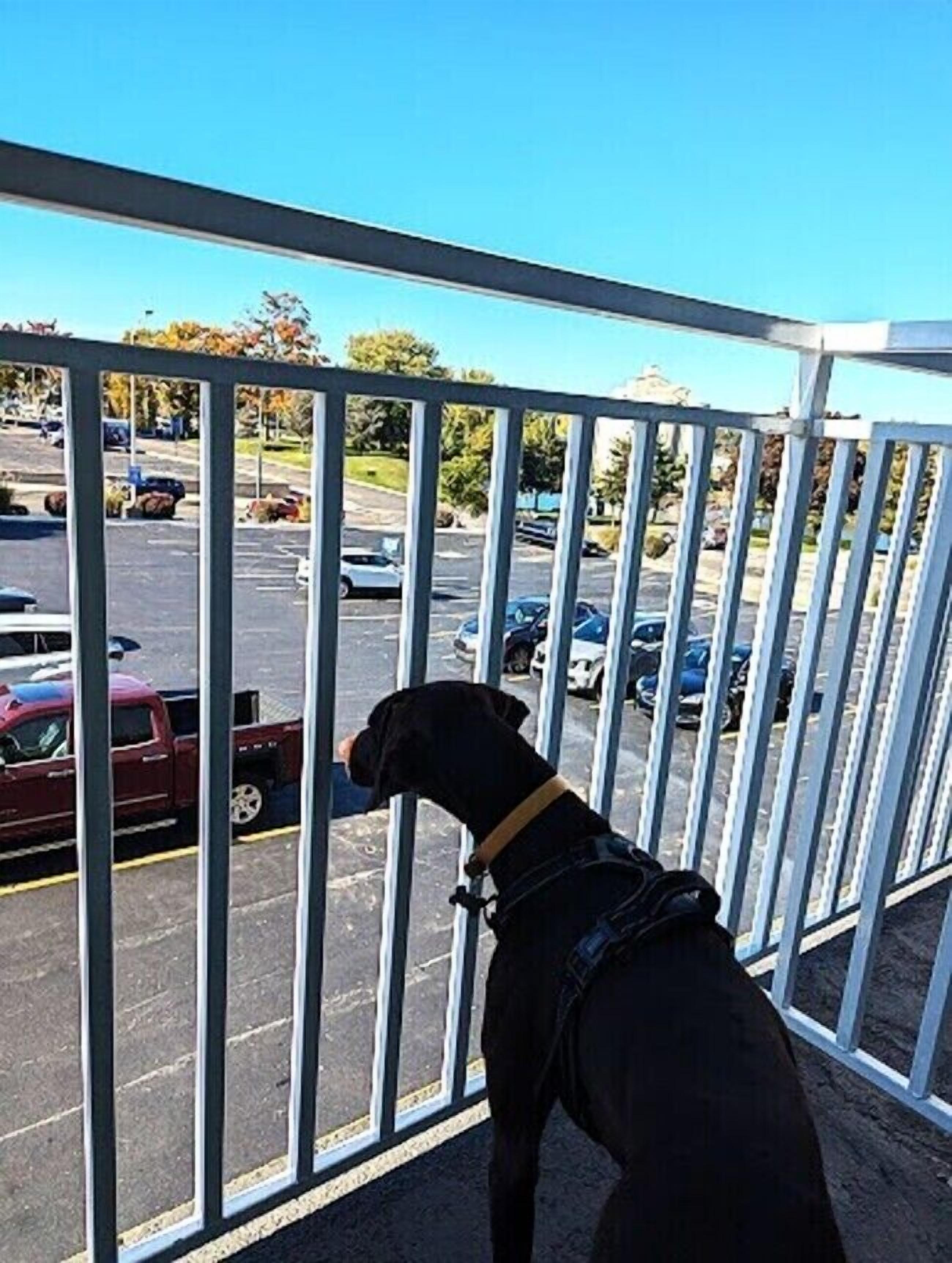 Premium bedding, pillowtop beds, desk, blackout drapes