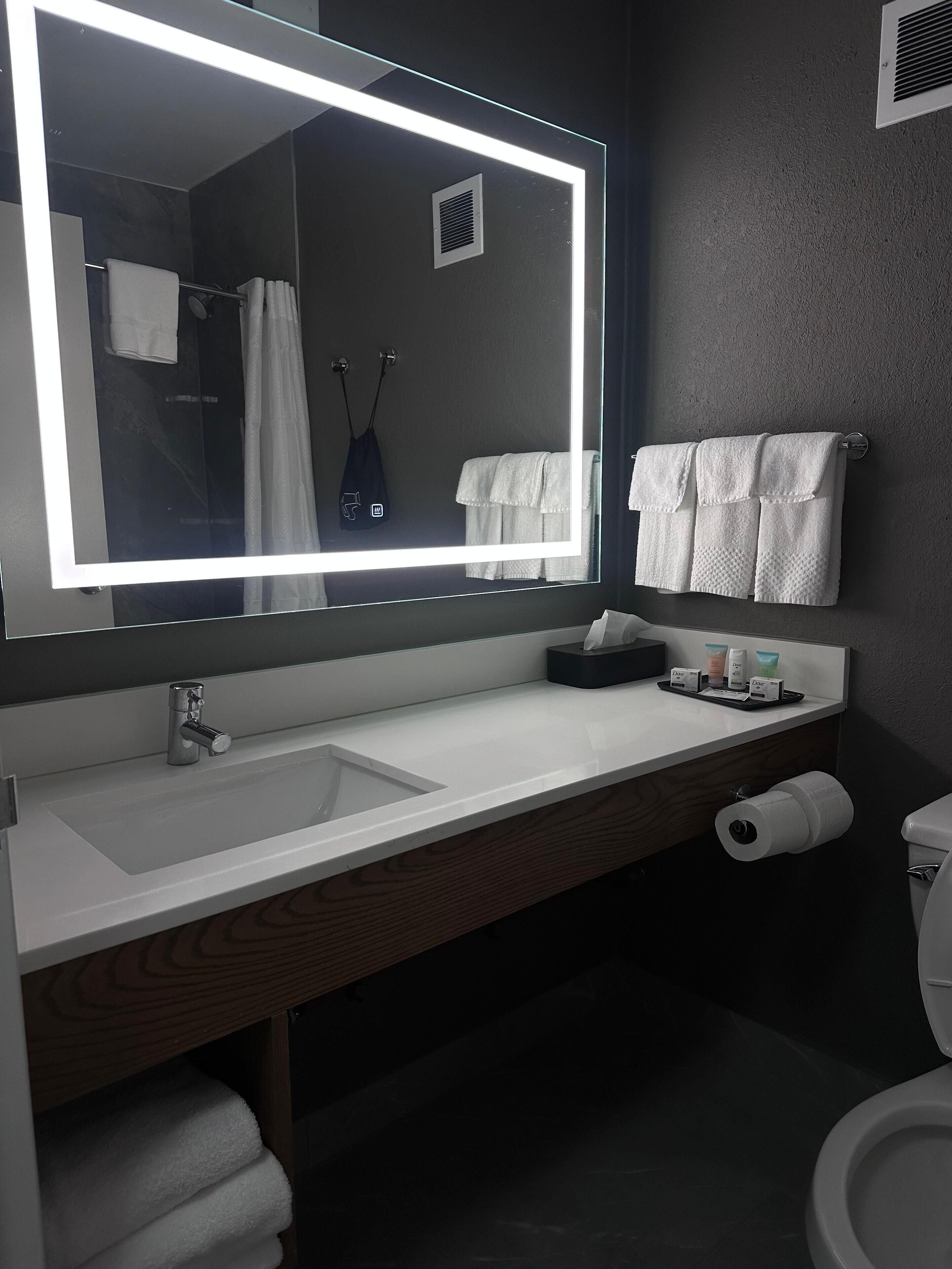 Un bagno moderno con uno specchio grande, un lavandino bianco e portasci asciugamani.