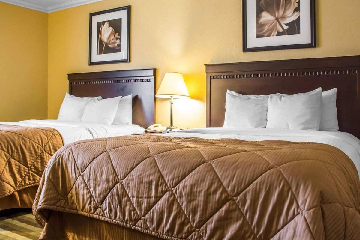 A hotel room with two beds, each with a brown quilted bedspread, white pillows, and a wooden headboard. There is a framed picture on the wall above the beds, and a bedside lamp is visible on the left bed.