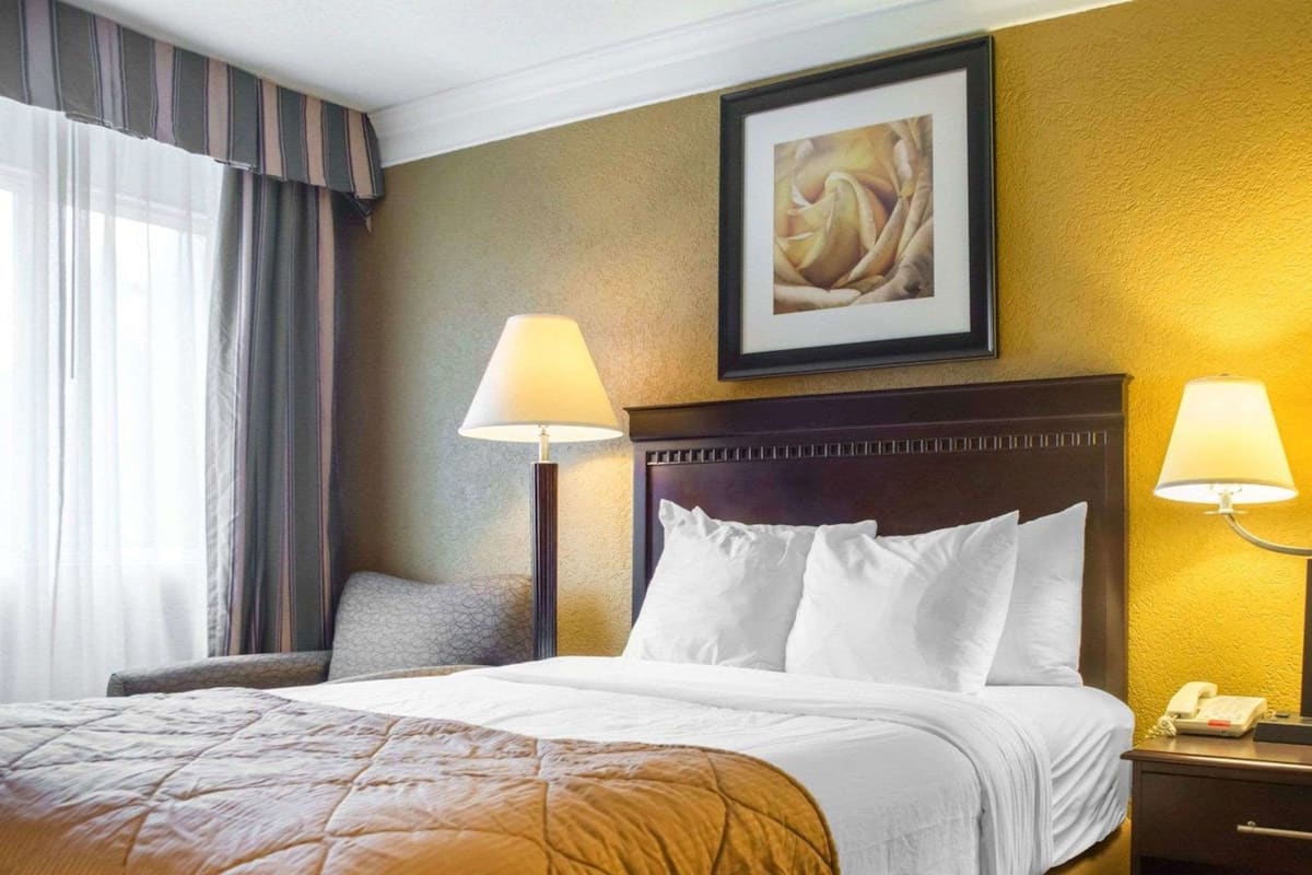 A hotel room with a large bed, two bedside lamps, a framed artwork on the wall, and a telephone on the nightstand.