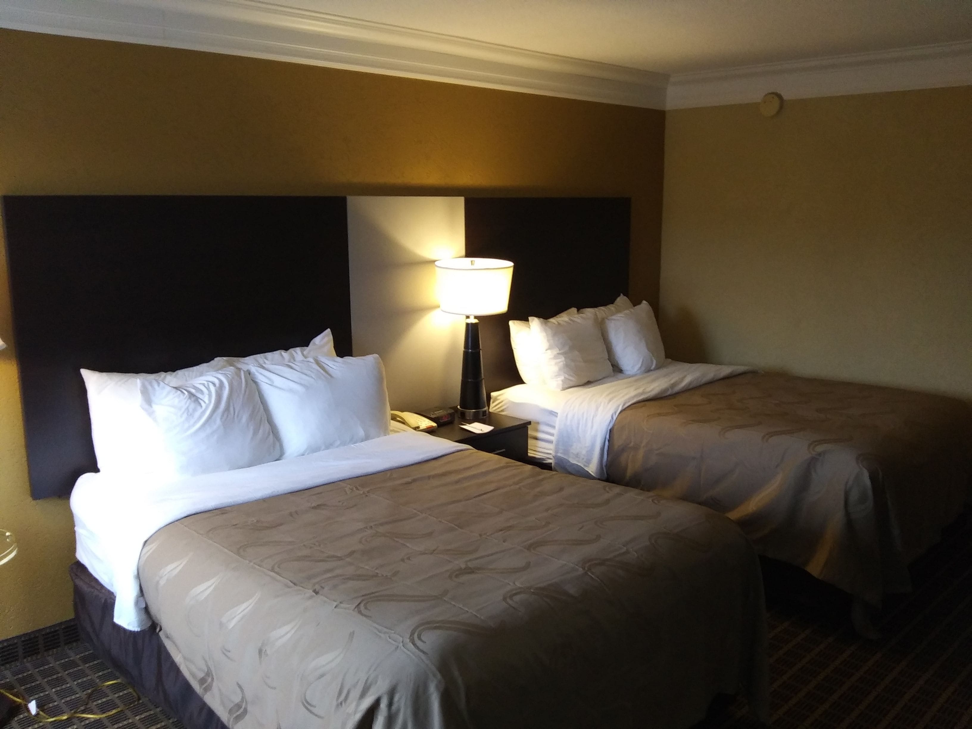 A hotel room with two beds, a nightstand, a lamp, and a wall-mounted telephone.