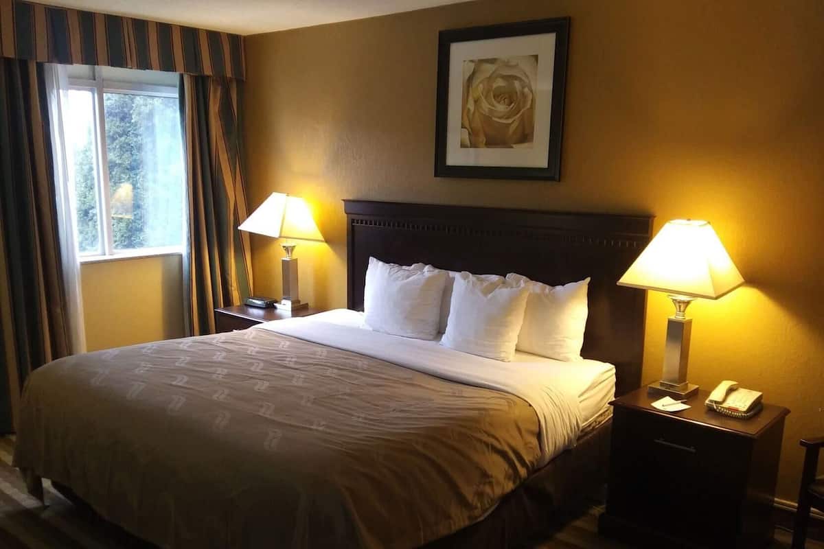 A hotel room with a large bed, two bedside lamps, a telephone, and a framed picture on the wall.