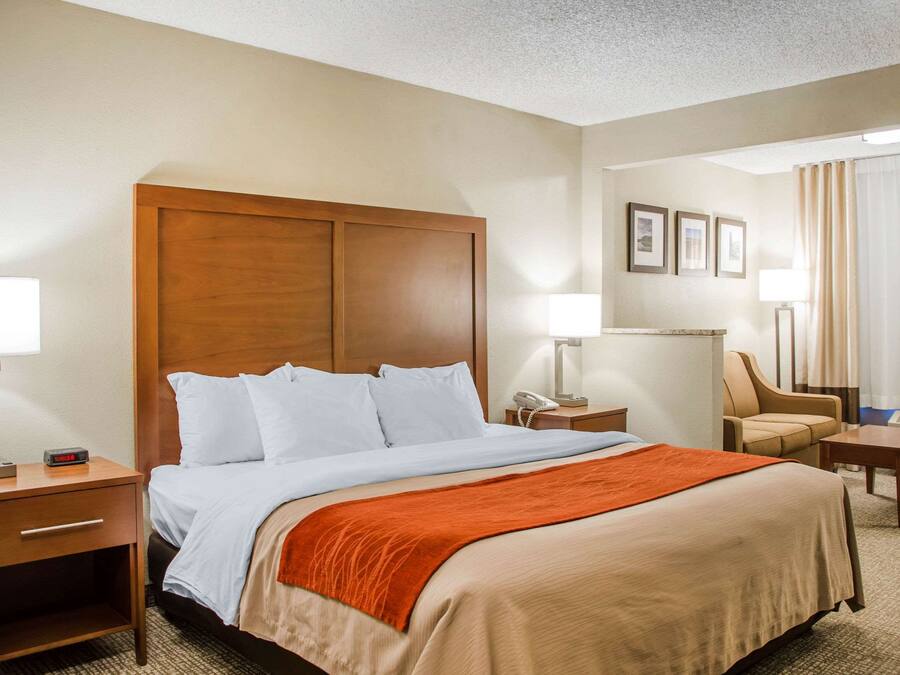 Roupas de cama premium, individualmente decorados