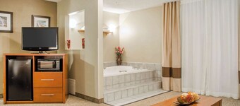 Comfort Inn Idaho Falls