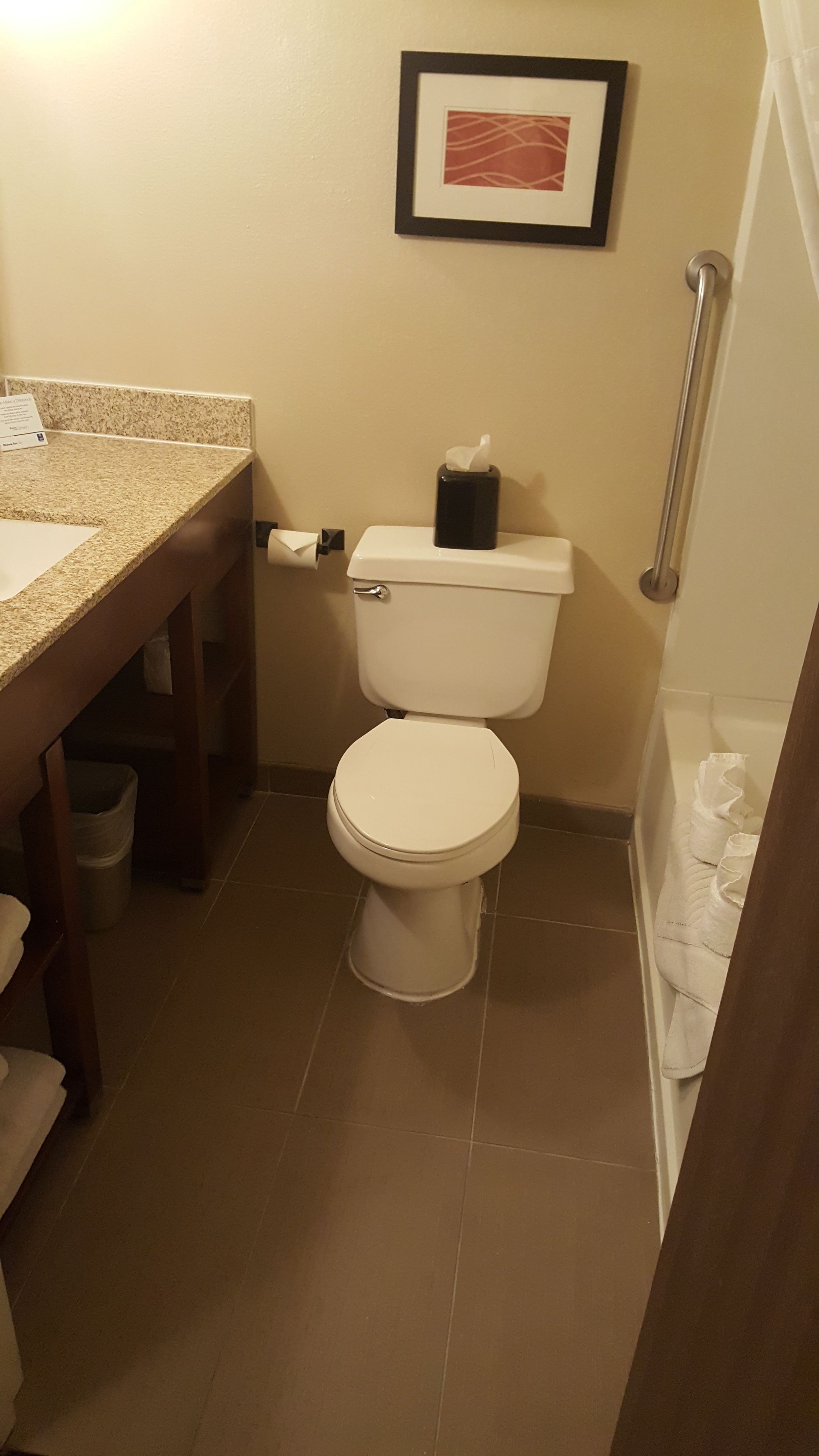 A small bathroom with a toilet, a sink, and a framed picture on the wall.