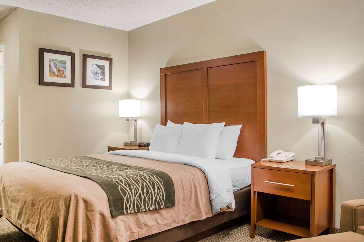 A hotel room with a bed, two bedside lamps, a nightstand with a phone, and two framed pictures on the wall.
