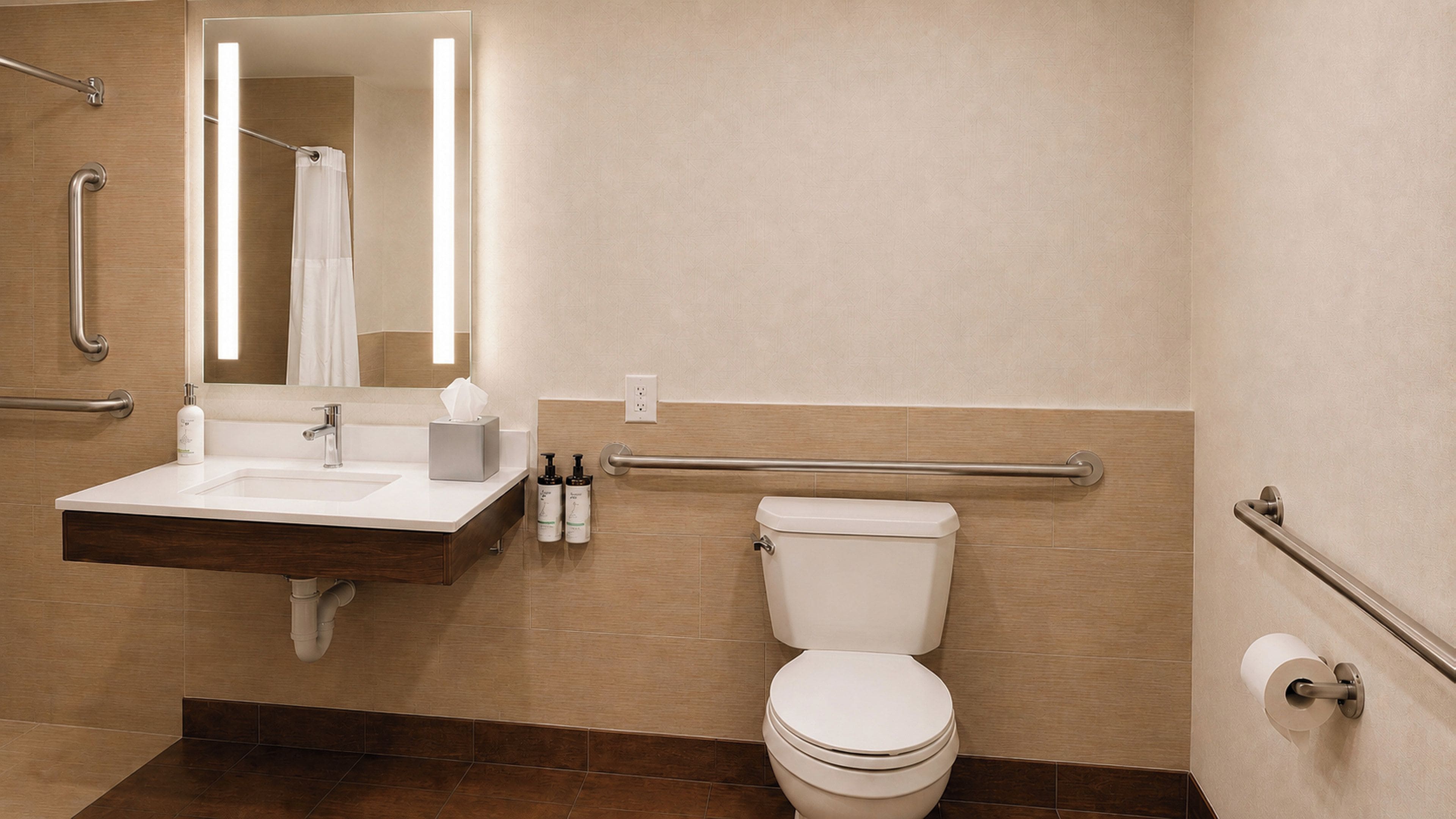 A modern bathroom with a sink, mirror, toilet, and handrails.
