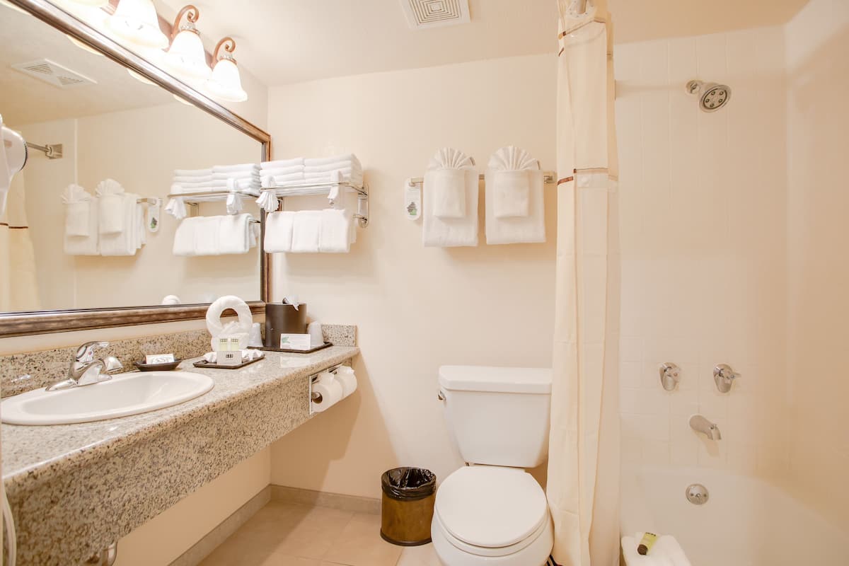 family suite, 2 bedrooms | bathroom | combined shower/bathtub, eco-friendly toiletries, hair dryer, towels