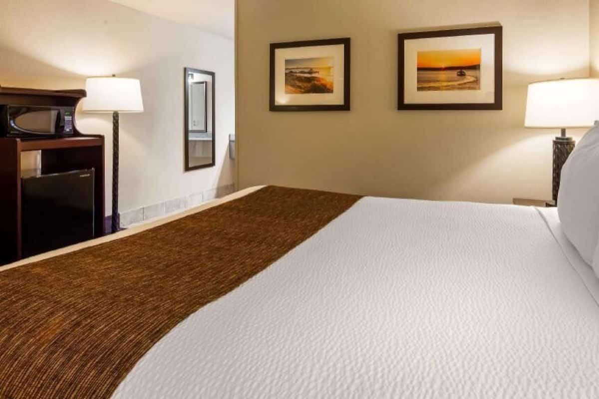 Iron/ironing board, free cribs/infant beds, rollaway beds, free WiFi