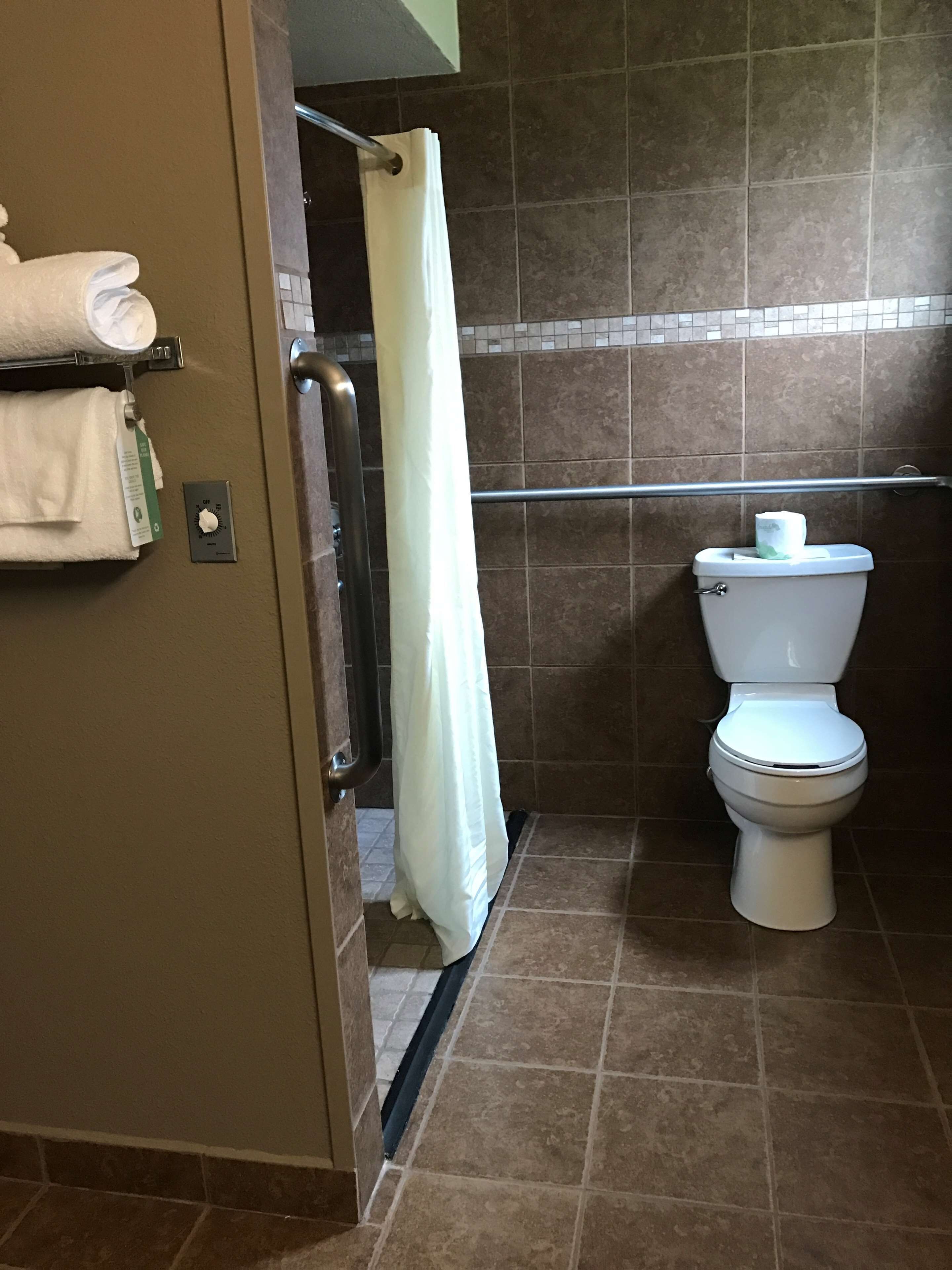 combined shower/bathtub, free toiletries, hair dryer, towels