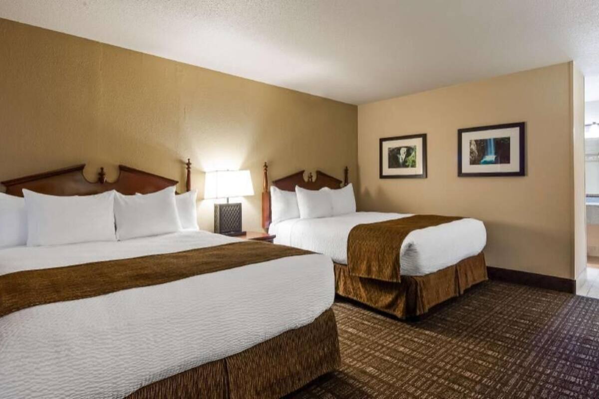 Een hotelkamer met twee bedden, een klein bureau, een lamp en beelden in lijsten aan de muur.