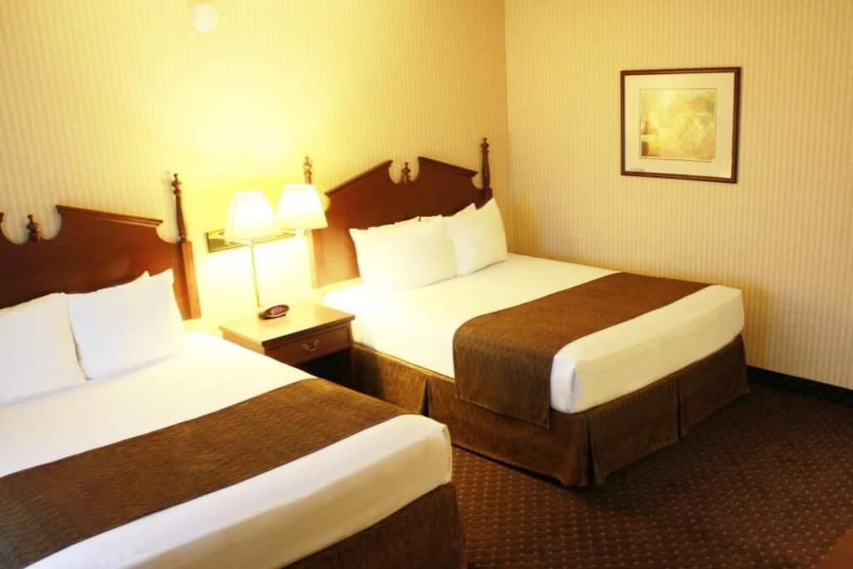 Iron/ironing board, free cribs/infant beds, rollaway beds, free WiFi