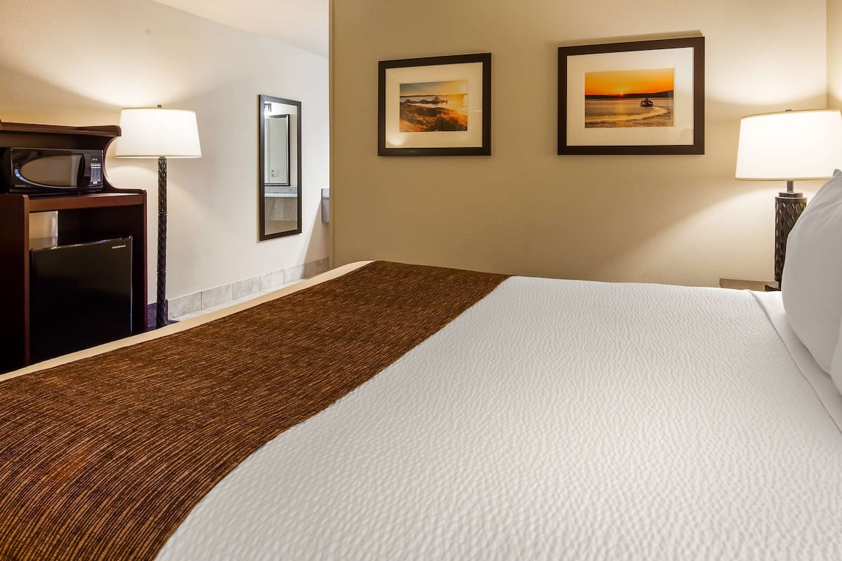 Iron/ironing board, free cots/infant beds, rollaway beds, free WiFi