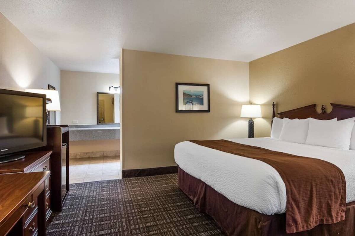 Iron/ironing board, free cribs/infant beds, rollaway beds, free WiFi