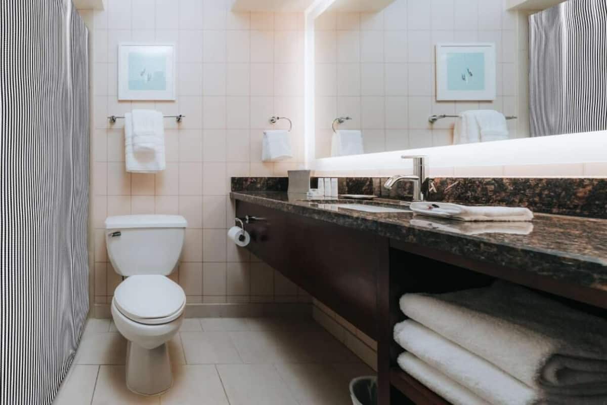 Bathroom | Combined shower/tub, free toiletries, hair dryer, towels