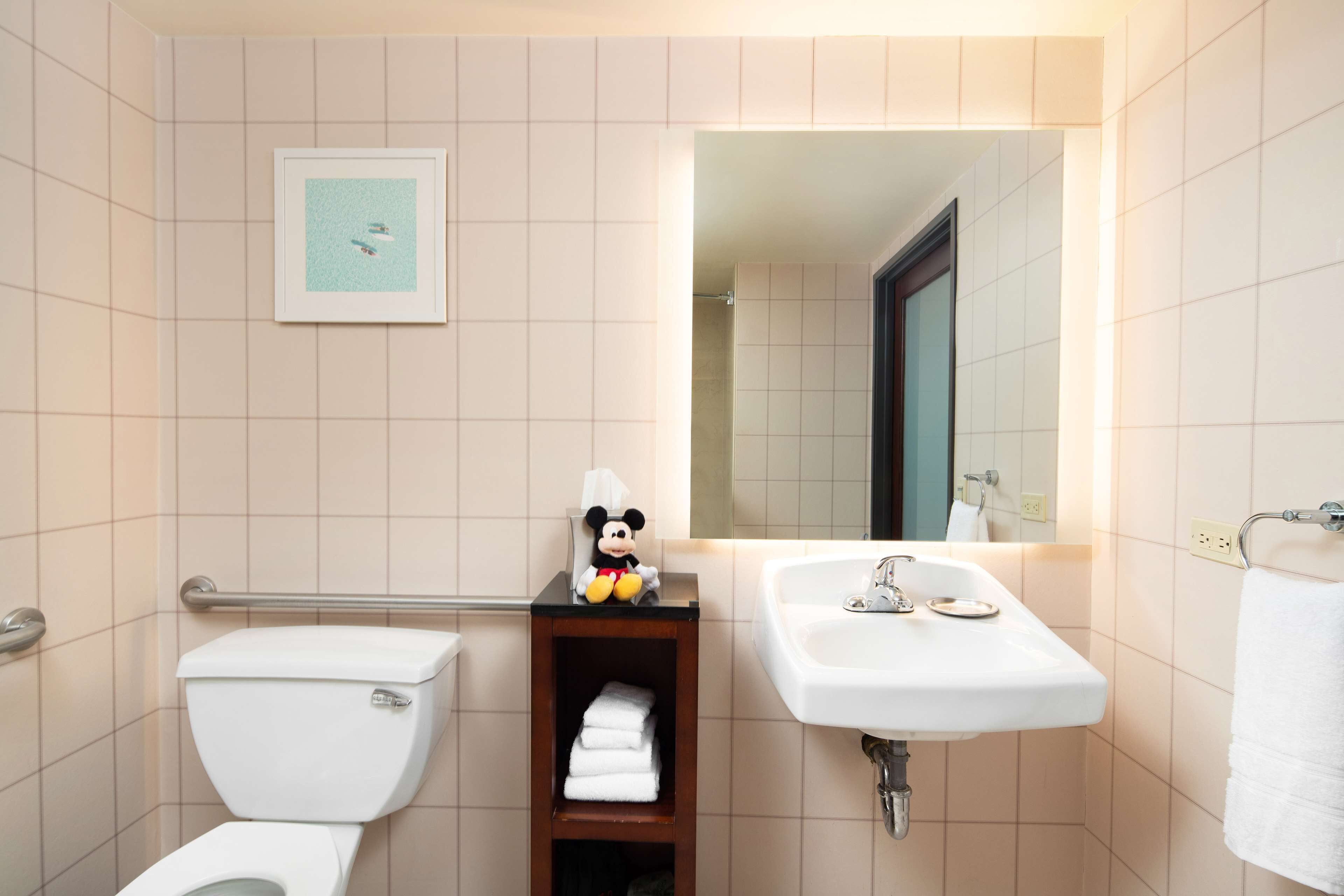 combined shower/bathtub, free toiletries, hair dryer, towels