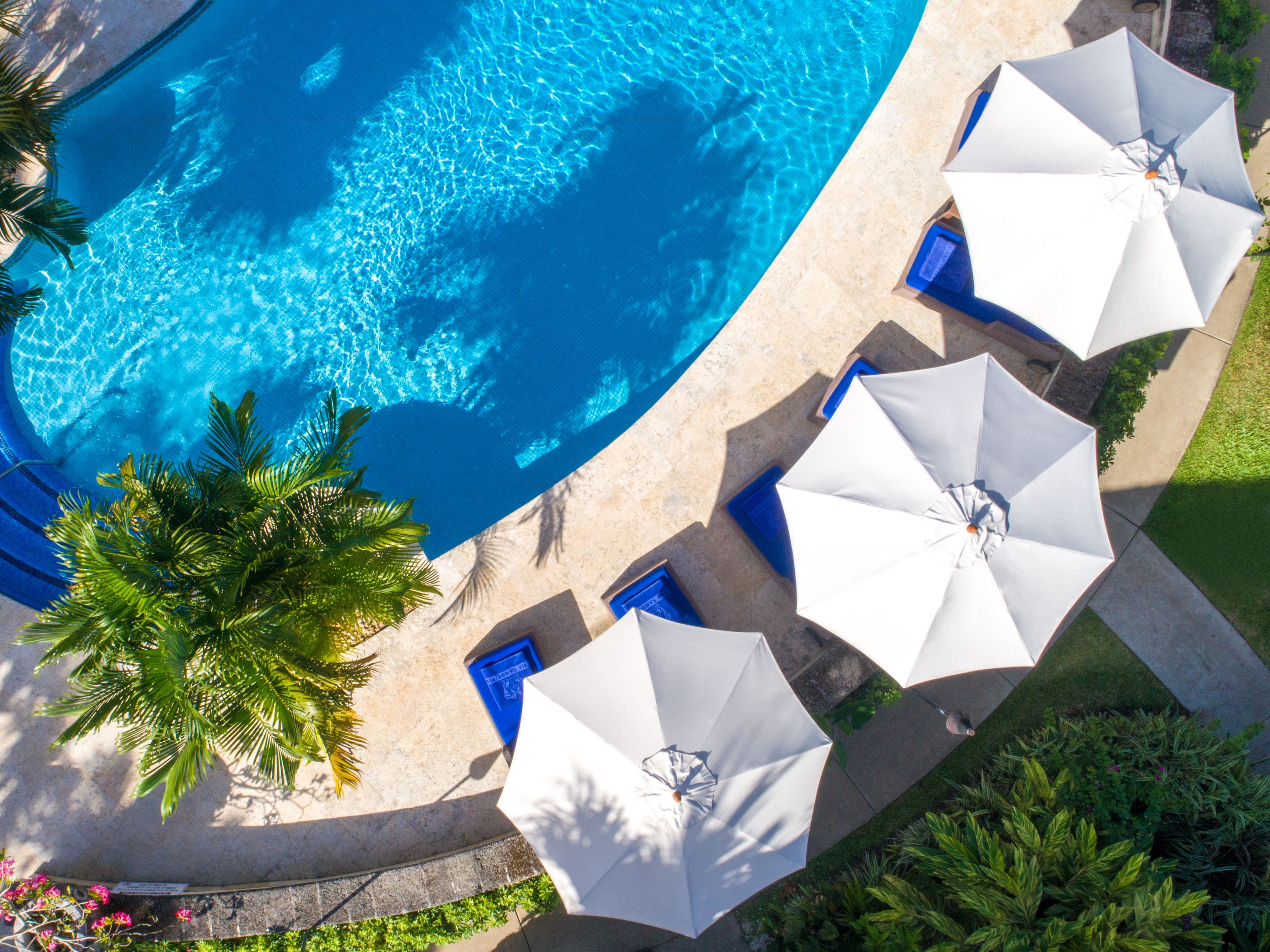 Vista aérea de una piscina con agua cristalina azul, rodeada de sillones de descanso y sombrillas, y palmeras.