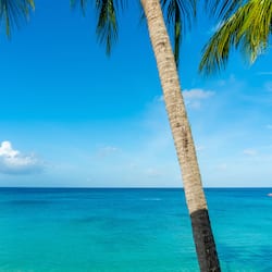 On the beach, white sand, beach bar, kayaking