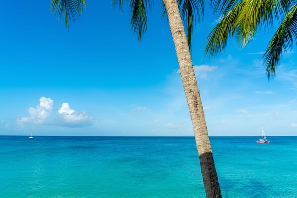 On the beach, white sand, beach bar, kayaking