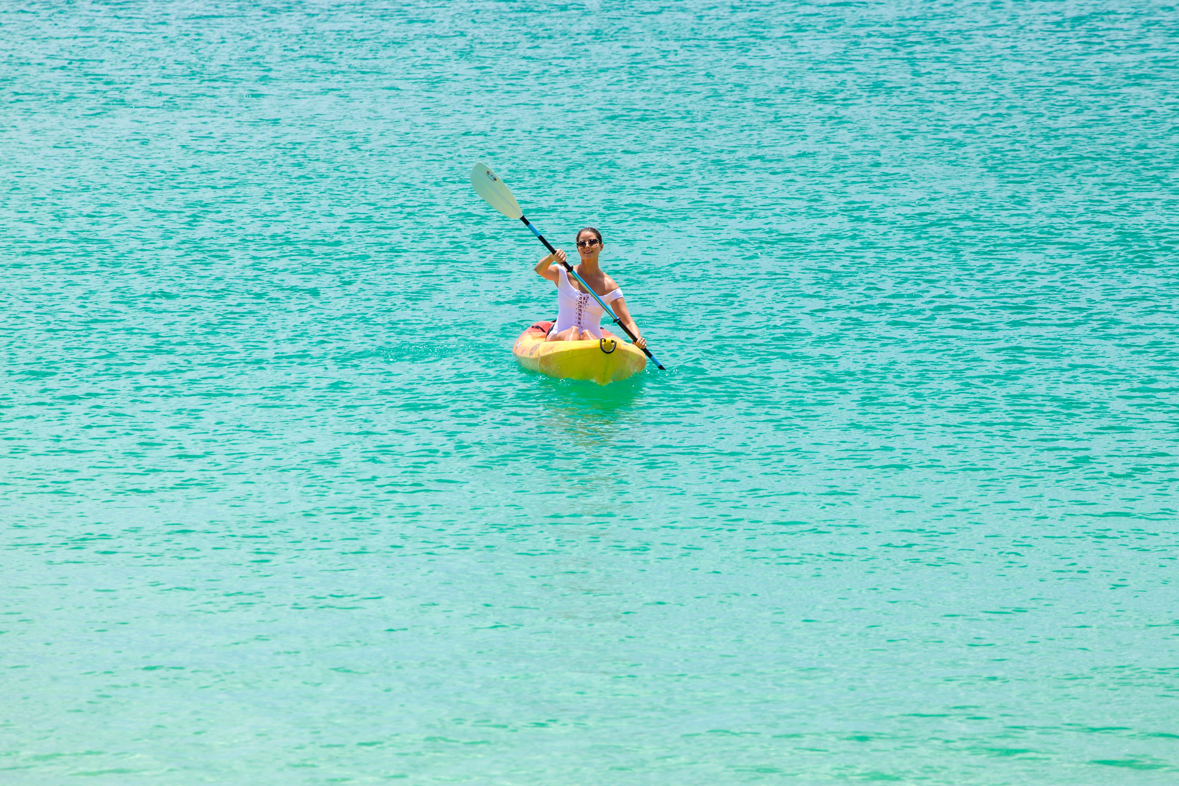 Foto - The Sandpiper