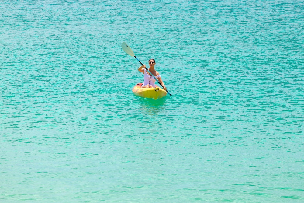 The Sandpiper by null