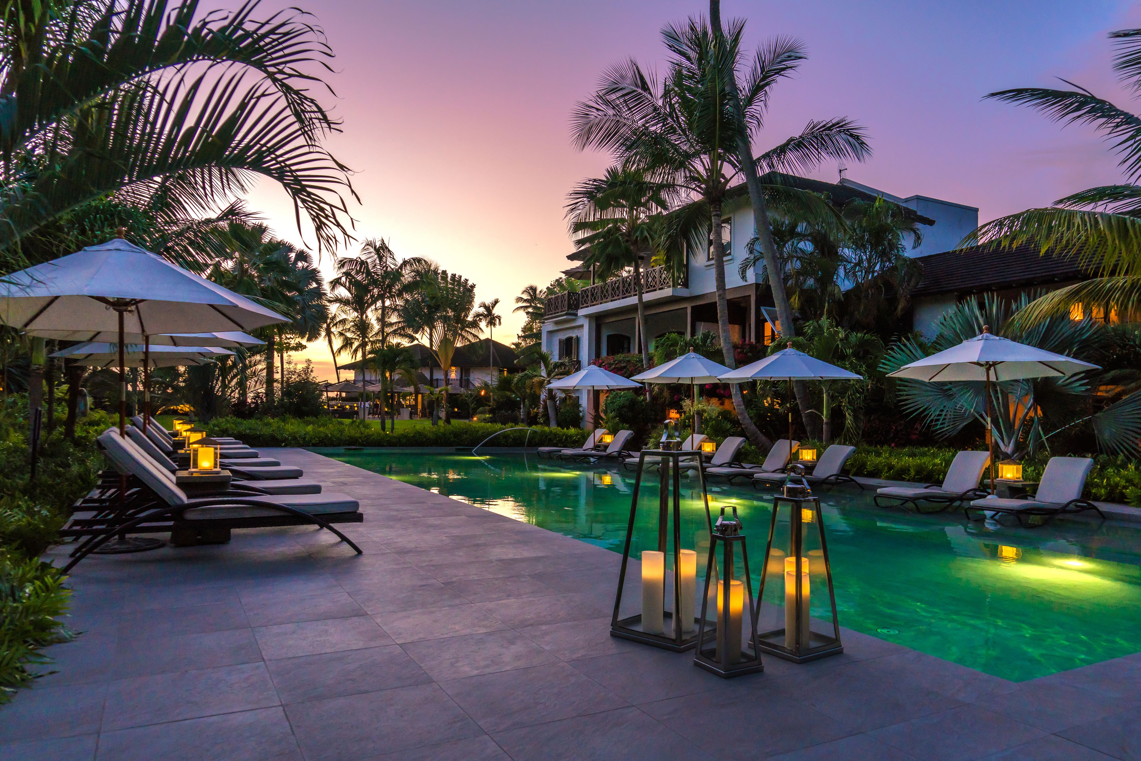 Foto - The Sandpiper