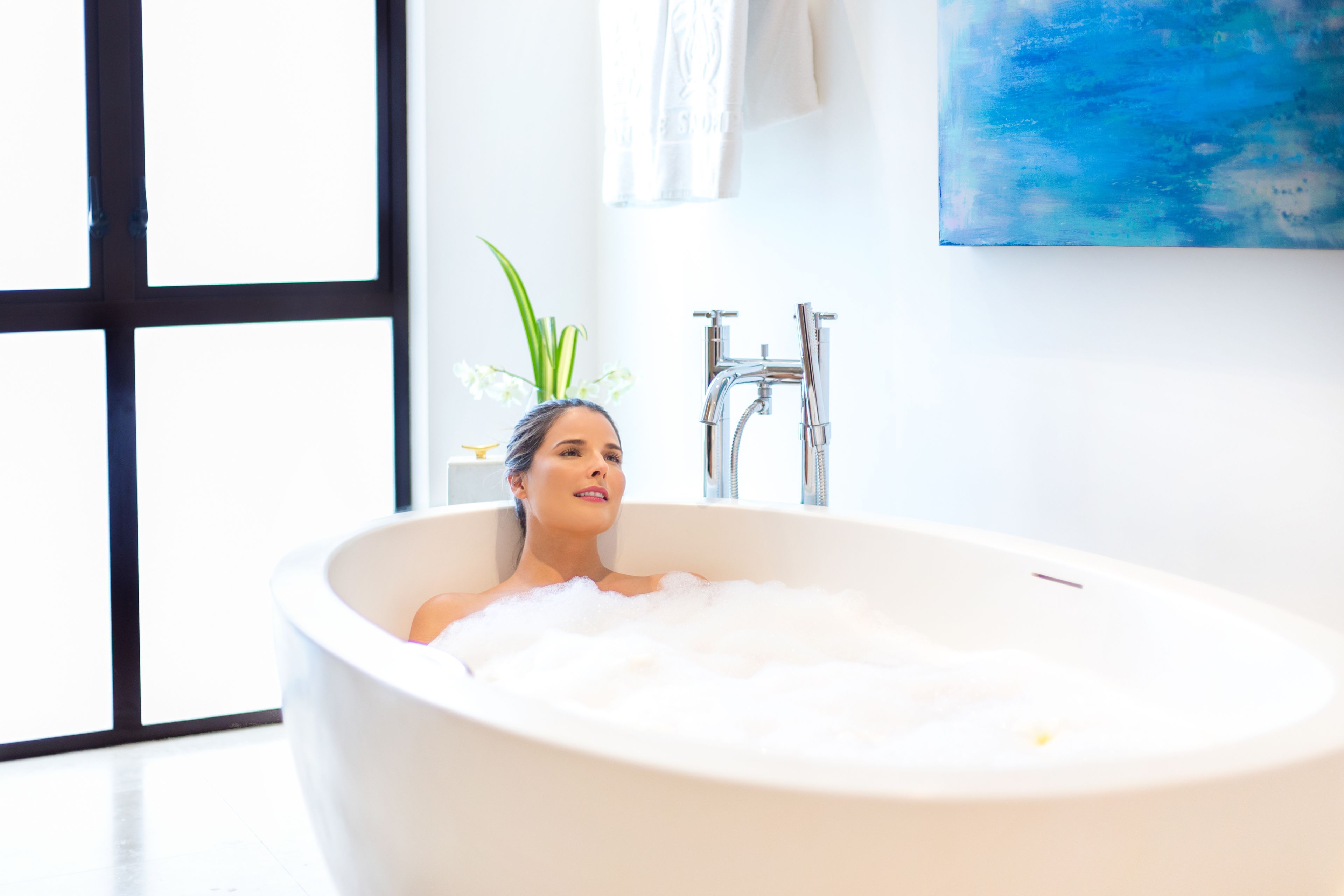 Foto - The Sandpiper