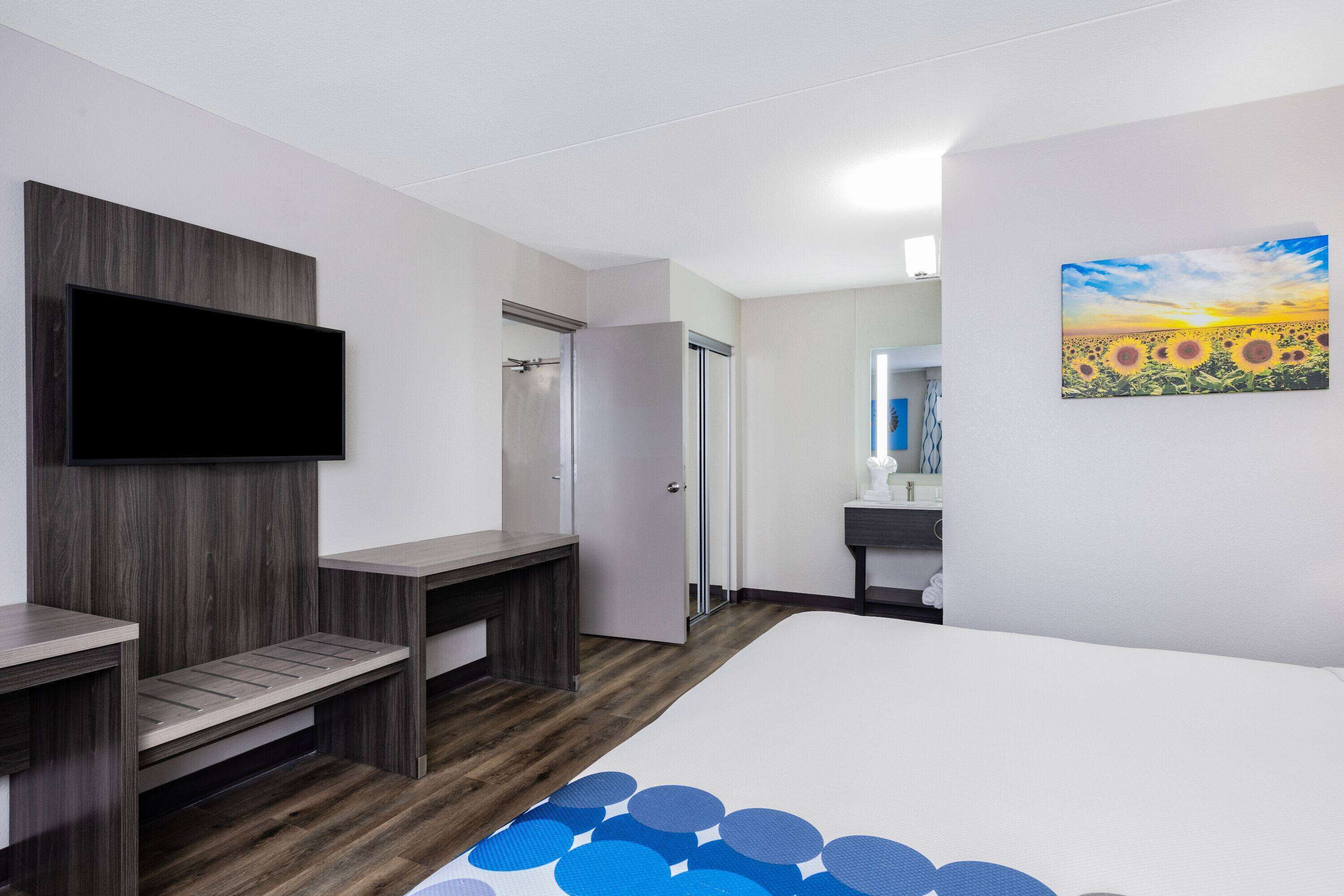 Una habitación de hotel con cama, escritorio, televisor, puerta y un cuadro en la pared.
