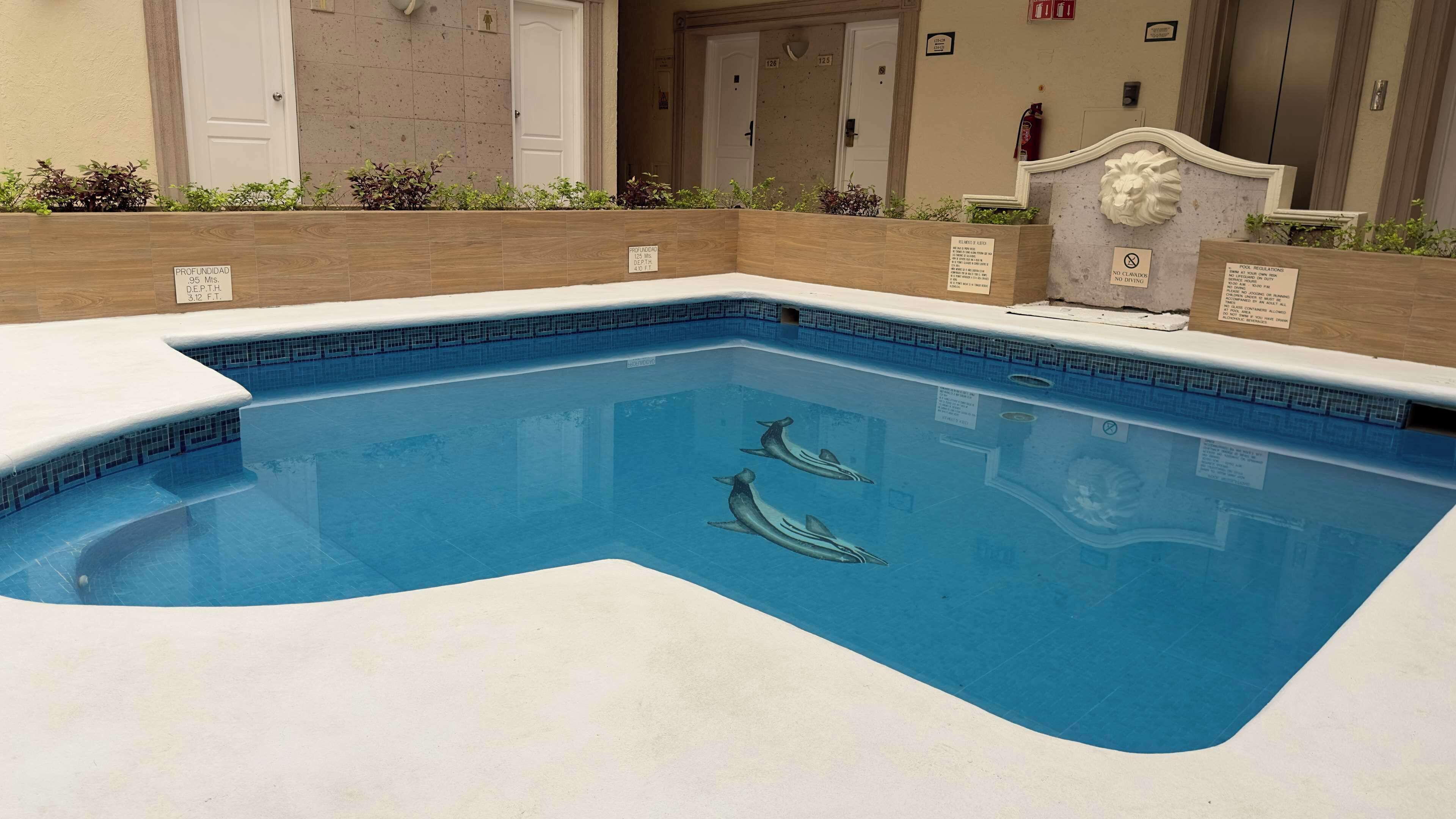 A swimming pool with two dolphins, surrounded by a tiled deck and a wooden planter with plants.