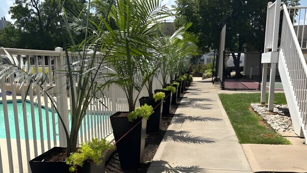 A poolside area with a white fence, potted plants, and a concrete pathway. - Sonesta ES Suites Cincinnati - Sharonville West (Sharonville)