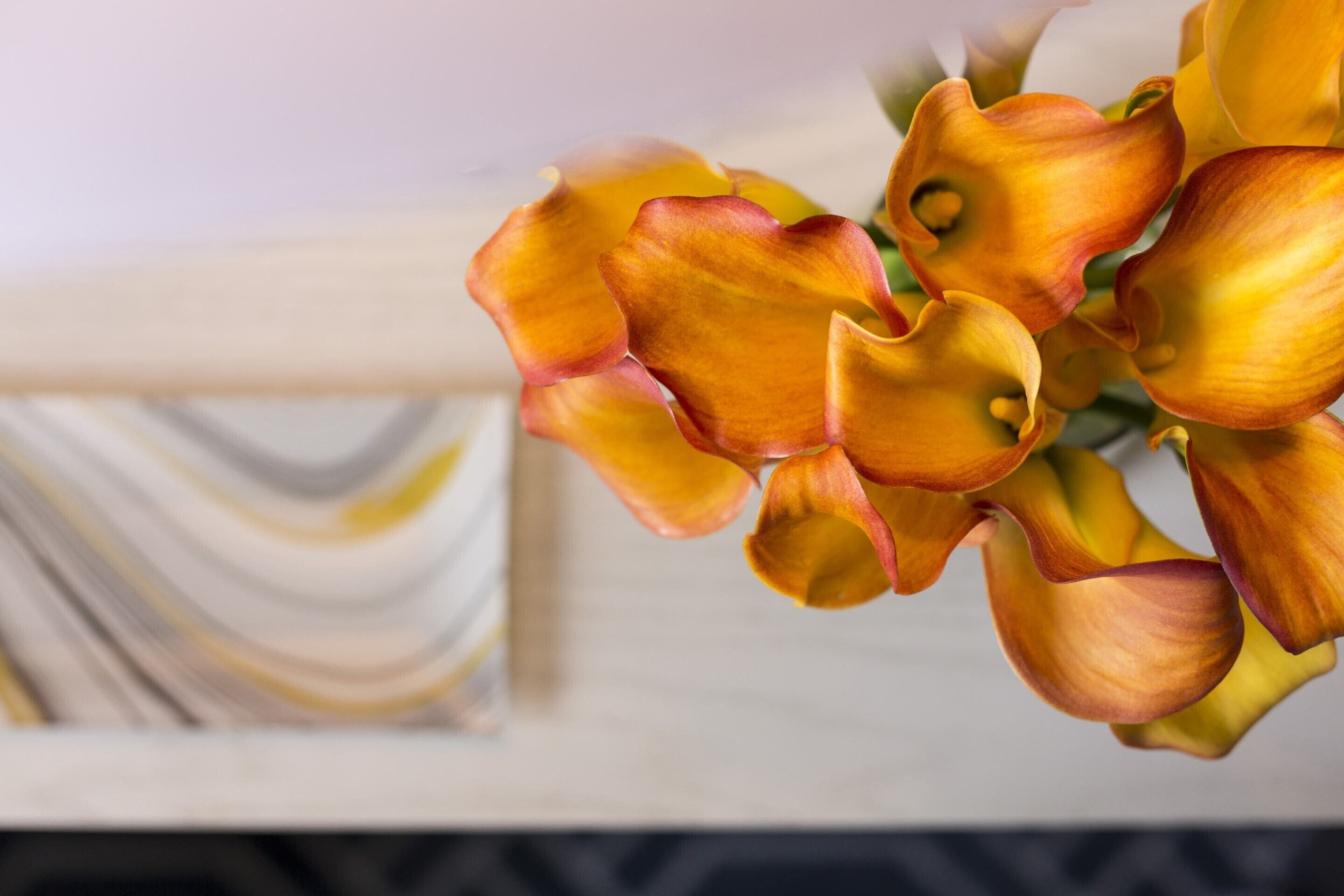 A close-up of orange calla lilies in a vase.