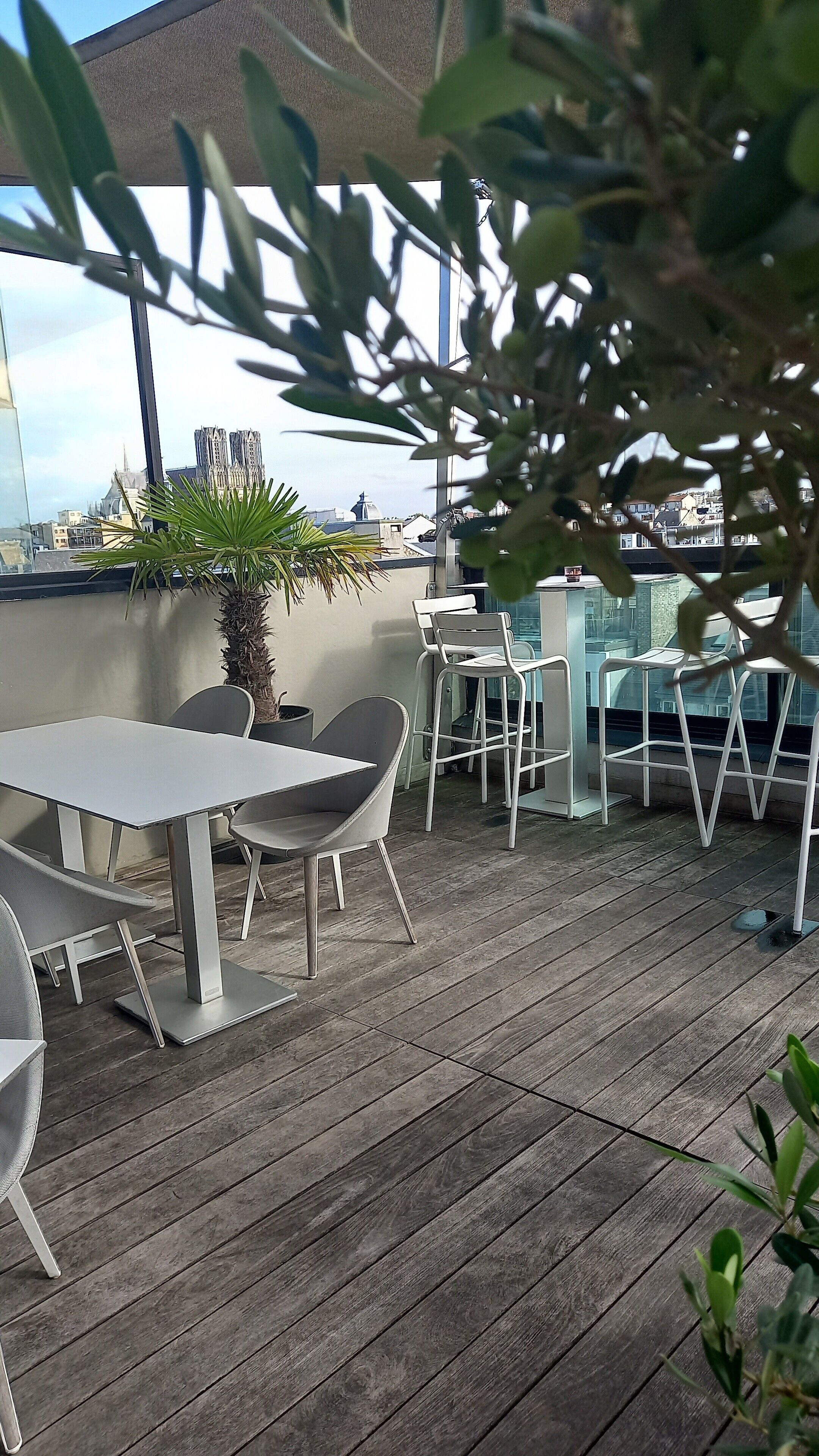 A rooftop terrace with a table and chairs, a potted plant, and a view of the cityscape.